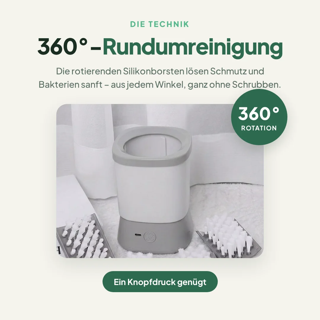 Ansicht 4